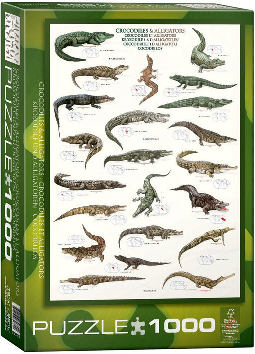 Eurographics - Crocodiles And Alligators (1000-Piece Puzzle) - Limolin 