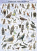 Eurographics - Birds of Prey & Owls (1000-Piece Puzzle)