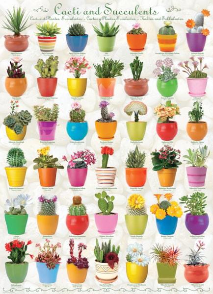 Eurographics - Cacti & Succulents (1000-Piece Puzzle)