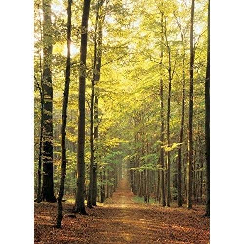 Eurographics - Forest Path (1000-Piece Puzzle) - Limolin 