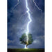 Eurographics - Lighting Striking Tree (1000-Piece Puzzle) - Limolin 