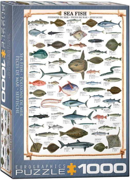 Eurographics - Sea Fish (1000-Piece Puzzle)