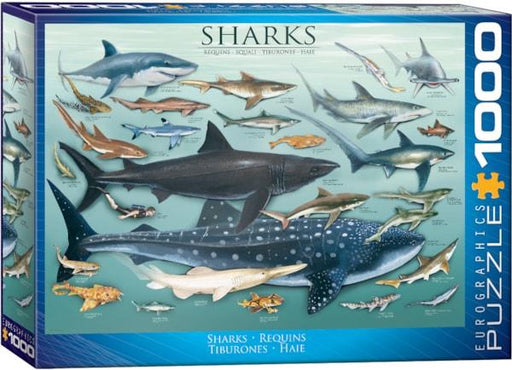 Eurographics - Sharks (1000pc Puzzle)