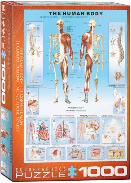 Eurographics - The Human Body (1000-Piece Puzzle)