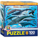 Eurographics - Whales & Dolphins (100pc Puzzle)