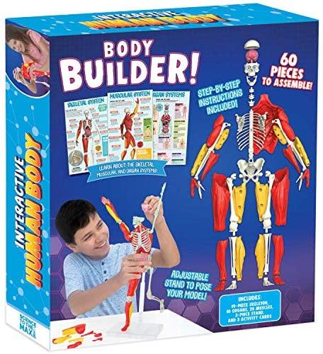 Be Amazing Toys - interactive Human Body - Limolin 