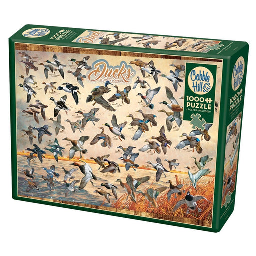 Cobble Hill - Ducks Of North America (1000-Piece Puzzle) - Limolin 