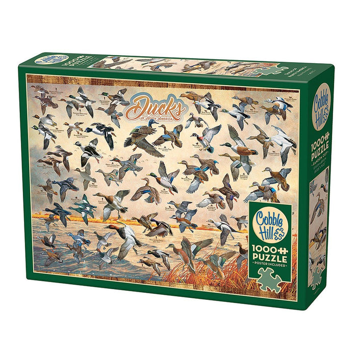 Cobble Hill - Ducks Of North America (1000-Piece Puzzle) - Limolin 