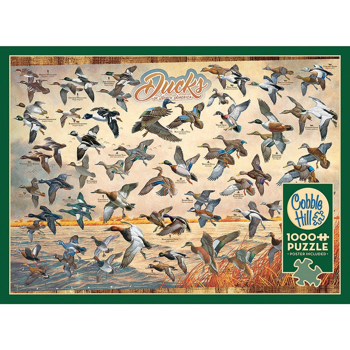 Cobble Hill - Ducks Of North America (1000-Piece Puzzle) - Limolin 