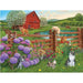 Cobble Hill - Farm Cats (1000-Piece Puzzle) - Limolin 