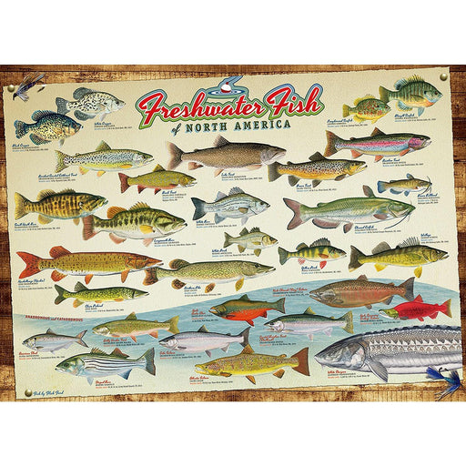 Cobble Hill - Freshwater Fish Of North America (1000-Piece Puzzle) - Limolin 