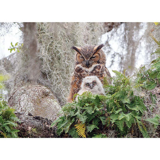 Cobble Hill - Great Horned Owl (1000-Piece Puzzle) - Limolin 