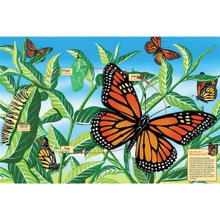 Cobble Hill - Life Cycle Of A Monarch Butterfly (1000-Piece Puzzle) - Limolin 