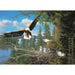 Cobble Hill - Nesting Eagles (1000-Piece Puzzle) - Limolin 