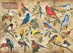 Cobble Hill - Popular Backyard Wild Birds Of N.A (1000-Piece Puzzle) - Limolin 