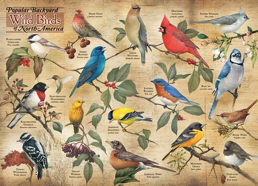 Cobble Hill - Popular Backyard Wild Birds Of N.A (1000-Piece Puzzle) - Limolin 