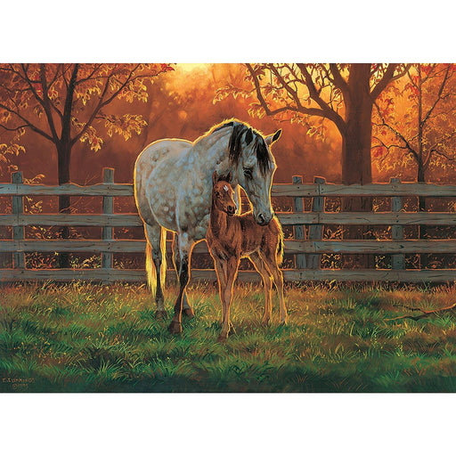 Cobble Hill - Quiet Time (1000-Piece Puzzle) - Limolin 