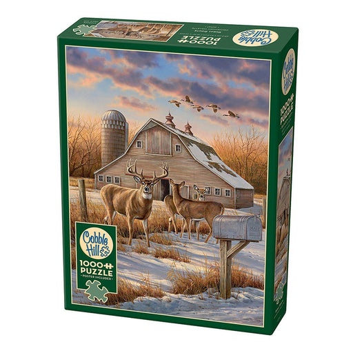 Cobble Hill - Rural Route (1000-Piece Puzzle) - Limolin 