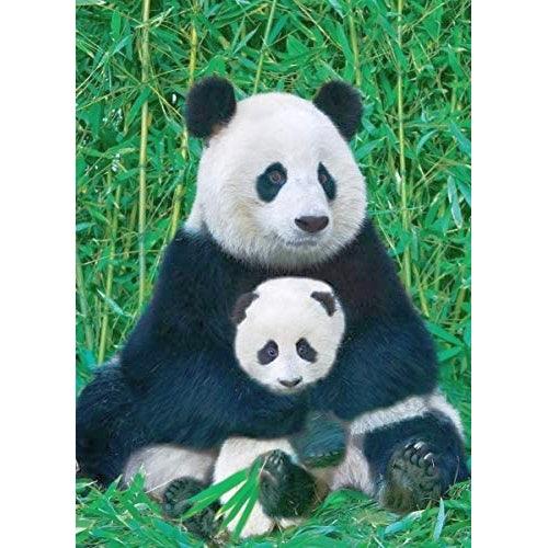 Eurographics - Panda & Baby (1000-Piece Puzzle) - Limolin 