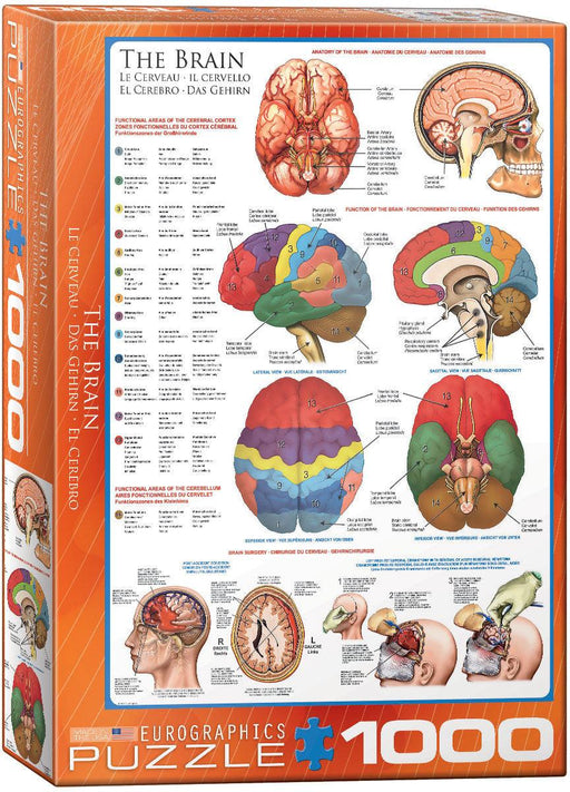 Eurographics - The Brain (1000-Piece Puzzle) - Limolin 