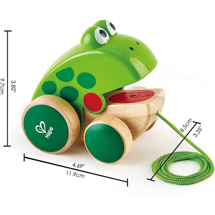 Hape - Frog Pull - Along - Limolin 