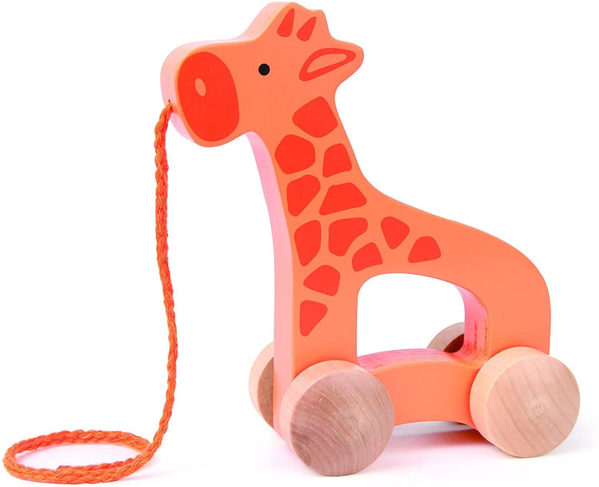 Hape - Giraffe - Limolin 