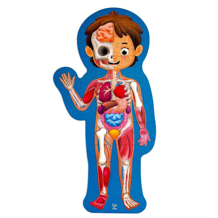 Hape - Human Body Puzzle - Limolin 