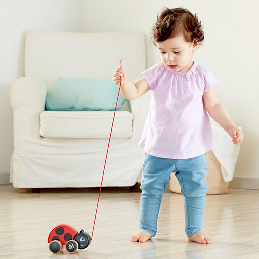 Hape - Ladybug Pull - Along - Limolin 