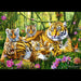 Trefl - Family Of Tigers (500-Piece Puzzle) - Limolin 