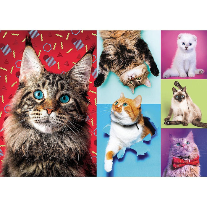 Trefl - Happy Cats (1000-Piece Puzzle) - Limolin 